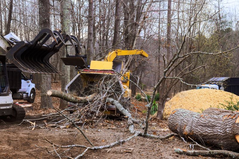 Tree Removal Equipment 3